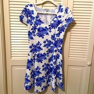 Charlotte Russe Floral Skater Dress